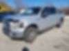 1FTEW1E81GFC08128-2016-ford-f-150-0