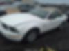 1ZVHT84N785146468-2008-ford-mustang-0