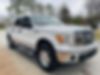 1FTEW1E82AFB14203-2010-ford-f-150-0
