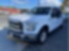 1FTEW1CP4GKF00308-2016-ford-f-150-1