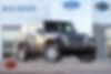 1C4BJWDG7HL604204-2017-jeep-wrangler-0