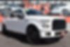 1FTEW1CP2FKE87959-2015-ford-f-150-2