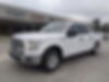 1FTEW1C88GFA88542-2016-ford-f-150-1