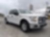 1FTEW1C88GFA88542-2016-ford-f-150-2