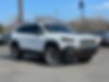 1C4PJMBX5KD402007-2019-jeep-cherokee-0