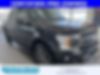 1FTEW1EPXKFA41106-2019-ford-f-150