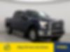 1FTEW1EP1GFA70792-2016-ford-f-150-0