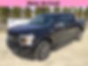 1FTEW1EP9KKF13318-2019-ford-f-150-0