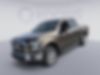 1FTEW1EFXGFA00666-2016-ford-f-150-0