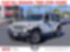 1C4HJXEN4LW240280-2020-jeep-wrangler-unlimited-0