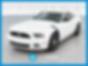 1ZVBP8AM2E5310274-2014-ford-mustang-0