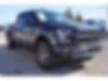 1FTFW1RG6HFC01134-2017-ford-f-150-0