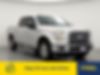 1FTEW1C82GKE21258-2016-ford-f-150-0
