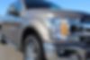 1FTEW1EP4KFB61905-2019-ford-f-150-1