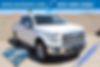 1FTEW1EP7HFC01080-2017-ford-f-150-0
