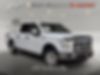 1FTEW1EP2GFA92140-2016-ford-f150-0