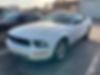 1ZVHT84N385193691-2008-ford-mustang-0