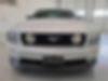 1ZVFT82H075232983-2007-ford-mustang-1