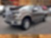 1FTEW1EFXGKF01905-2016-ford-f-150-0