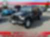 1J4GA39197L100576-2007-jeep-wrangler-0