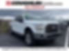 1FTEW1EP9GFB18894-2016-ford-f-150-0