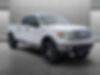 1FTFW1CFXDKD68565-2013-ford-f-150-0
