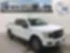 1FTEW1EP7KFB13606-2019-ford-f-150-0