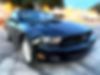1ZVBP8AN5A5158462-2010-ford-mustang-2