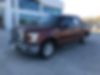 1FTEW1CP0HKD77849-2017-ford-f-150-0