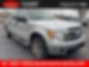 1FTFW1ET3DFC06787-2013-ford-f-150-0