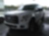 1FTEW1EF3GFC62349-2016-ford-f-150-0
