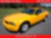 1ZVHT80N585207113-2008-ford-mustang