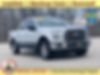 1FTEW1EP5GFC95569-2016-ford-f-150-0