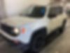 ZACNJBAB4LPL01347-2020-jeep-renegade-0