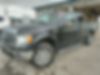 1FTEW1E83AFB56296-2010-ford-f-150-0