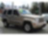 1J4PN2GKXAW163153-2010-jeep-liberty-0