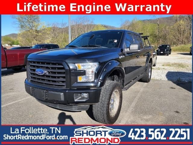 1FTEW1EF6FKD07256-2015-ford-f-150-0