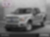 1FTEW1CP0JKD97895-2018-ford-f-150