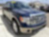 1FTFW1ET9BFB86705-2011-ford-f-150-2