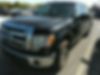 1FTEW1CM6DKD23326-2013-ford-f-150-0