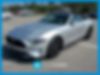 1FATP8UH3K5181792-2019-ford-mustang-0