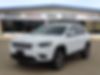 1C4PJMDN5KD258230-2019-jeep-cherokee