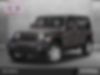 1C4HJXDN7KW664178-2019-jeep-wrangler-0