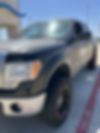 1FTFW1ET4BKD30653-2011-ford-f-150-2