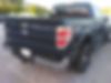 1FTFW1ET3DKD72847-2013-ford-f-150-1
