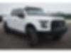 1FTEW1EPXFKF12443-2015-ford-f-150-0