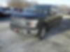 1FTEW1E58JFB22988-2018-ford-f-150-1