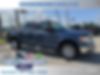 1FTFW1CF4DFB16318-2013-ford-f-150-0