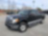 1FTEW1E81AFB47421-2010-ford-f-150-0