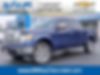 1FTFW1EV6AFD80401-2010-ford-f-series-0